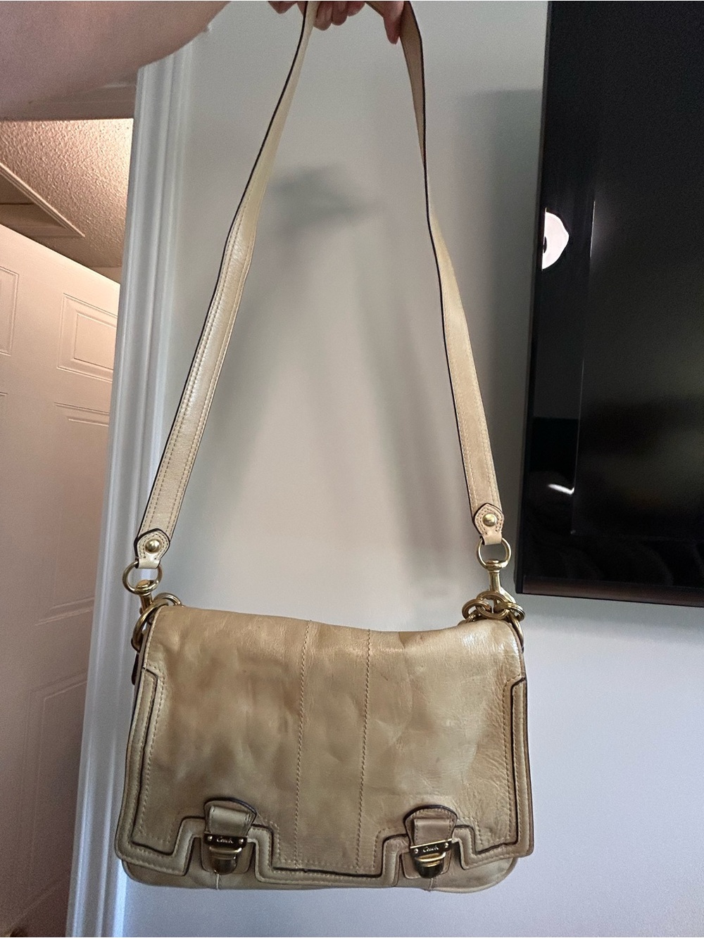 COACH Poppy Y2K Pushlock Flap Classic